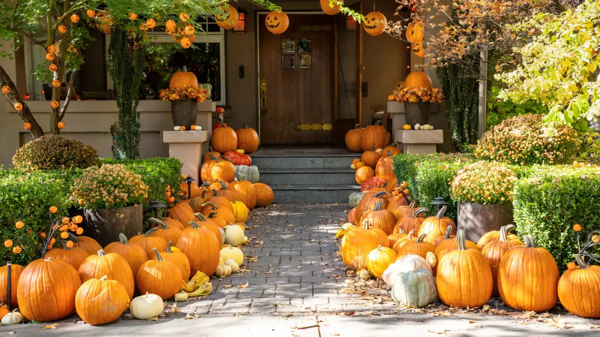 Pumpkins line both sides of a paved walkway leading to a wooden front door, with hanging jack-o’-lanterns and autumn foliage.