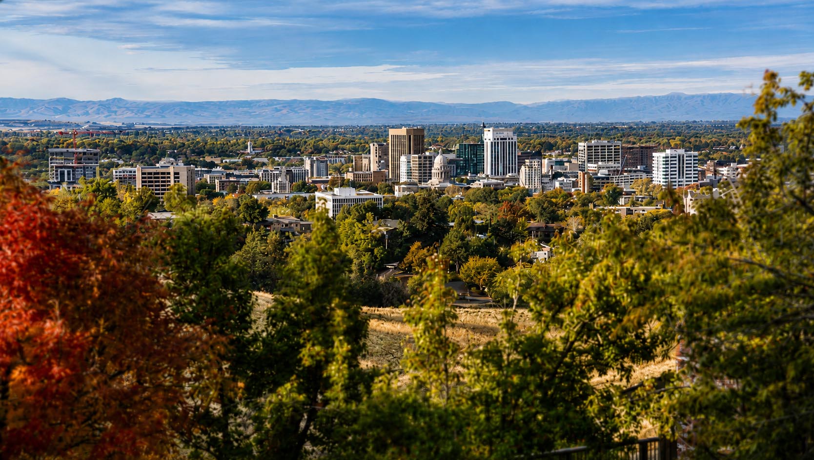 A wide view of downtown Boise from above, with early autumn foliage in the foreground and the Boise Foothills stretching across the horizon.