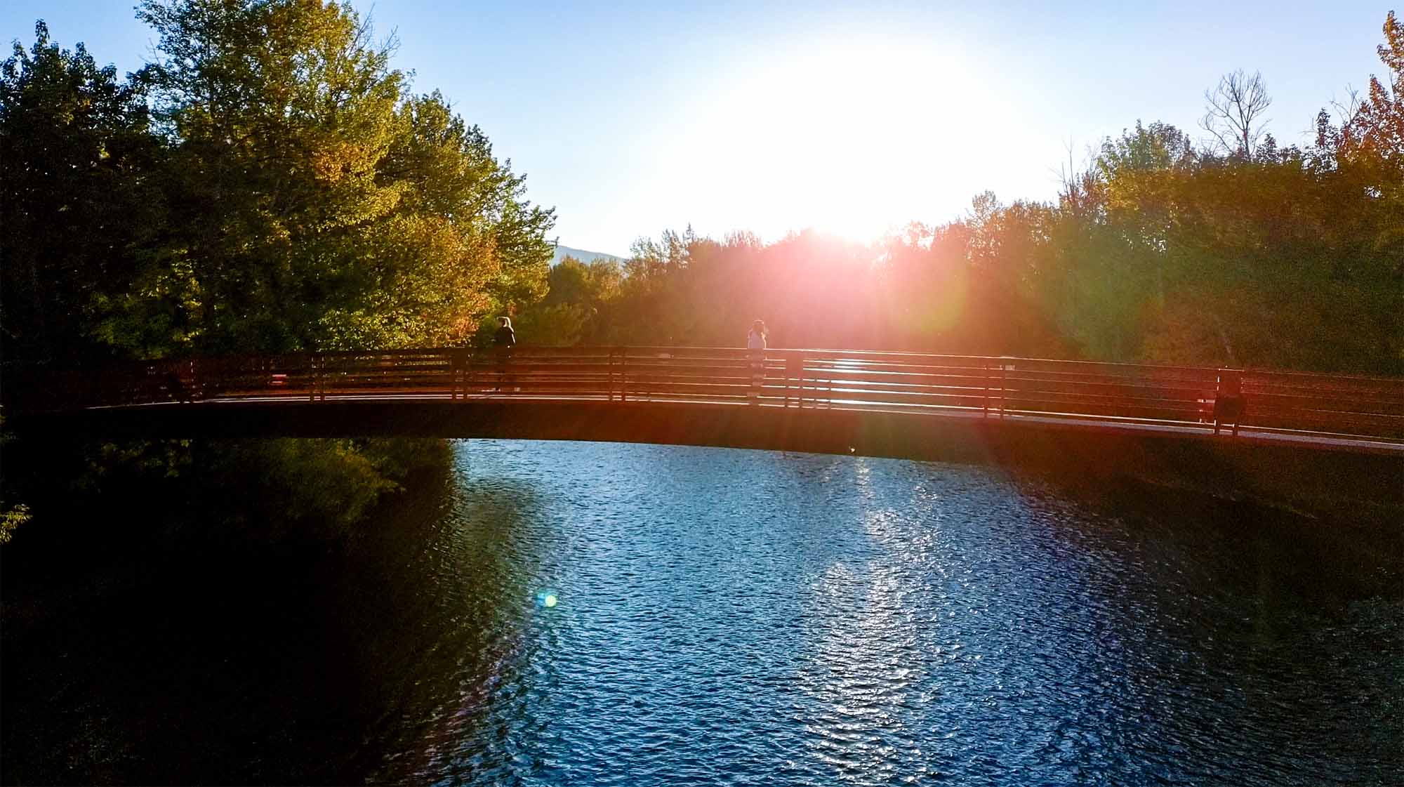 Sunrise over the Friendship Bridge and Boise River, framed by trees